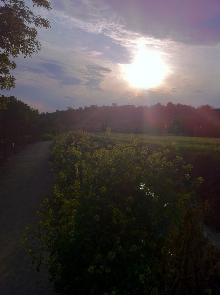 Sunset in Puente La Reina